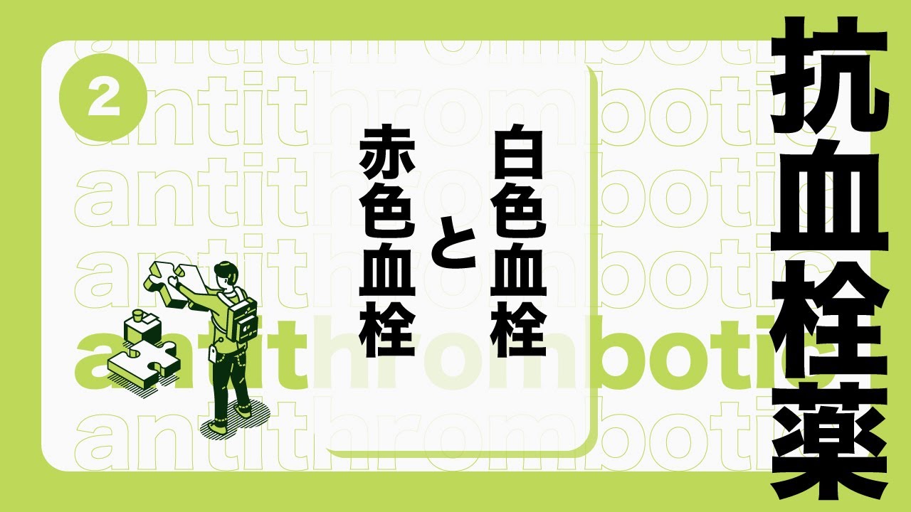 抗血栓薬② 「白色血栓と赤色血栓」 YouTube