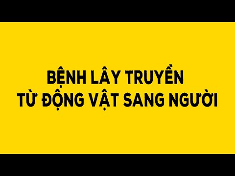 Video: Giảm Khả Năng Lây Truyền Bệnh Từ động Vật Sang Người