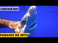 Рыбалка на акул | Морская рыбалка | Ловить акулу | Северный Кипр