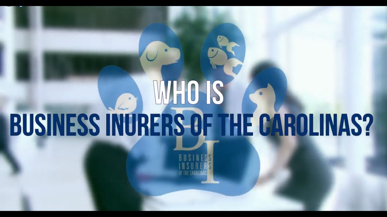 Who Is Business Insurers Of The Carolinas Insurance For Pet Sitters Who Is Business Insurers Of The Carolinas Insurance For Pet Sitters