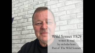 Poetry Reading | Wild Sonnet No. 829