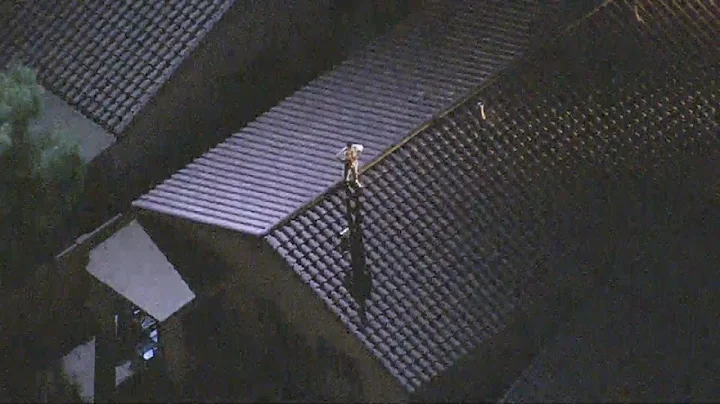 VIDEO: Suspect on Avondale roof