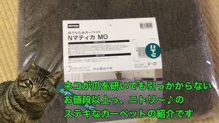 ニトリのカーペット