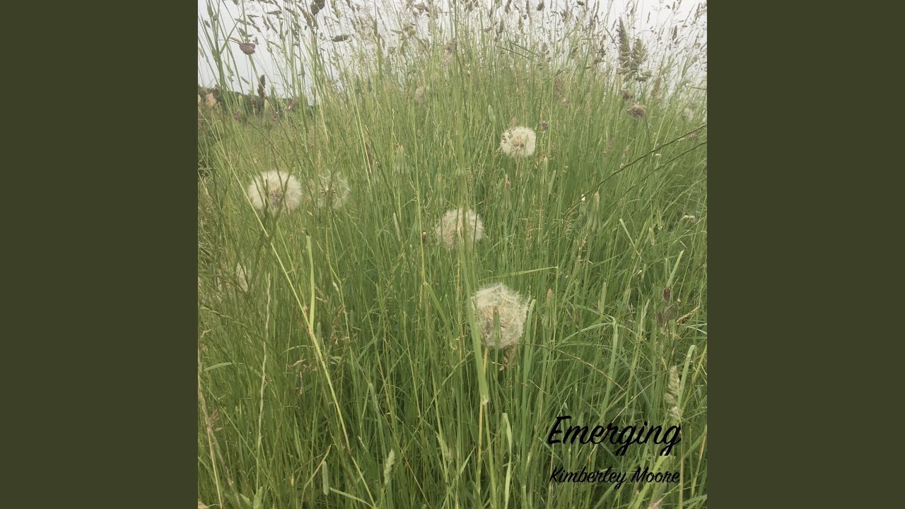 Watch Emerging on YouTube Watch Emerging on YouTube