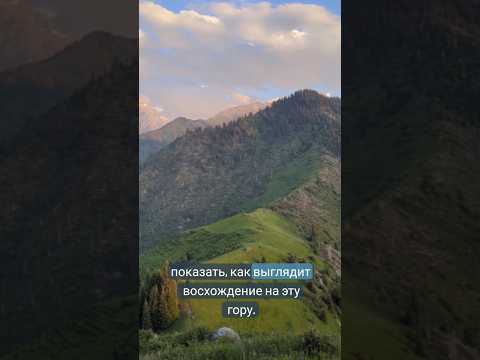 Мохнатка ♥️ полное