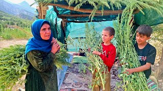 Download Lagu Homeless mother's efforts to build a new life after 4 years of homelessness MP3 Download Lagu Homeless mother's efforts to build a new life after 4 years of homelessness MP3