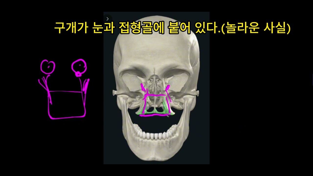 놀라운 고음 원리-입이 눈과 붙어있다/입체적 소리 이해(고음기초)