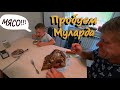 ЕГОР готовит яичницу / Зажарили МУЛАРДА