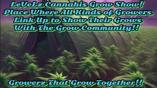 WiLdEsS CaNNaBis Gr0w Sh0w 0N YoUtUbE!! Show Your Plantz!! Wana See The Good Bad, &amp; The Ugliest!!!!!