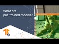 3.1: What are pre-trained models?