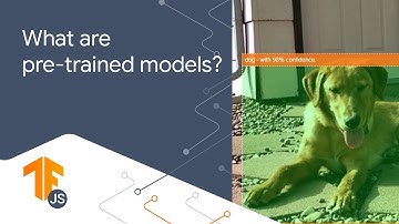 Using pre-trained models in TensorFlow | Machine Learning for web developers