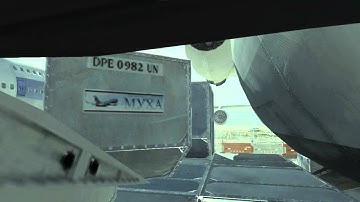 Glitch In Terminal: In the Wing of The Plane