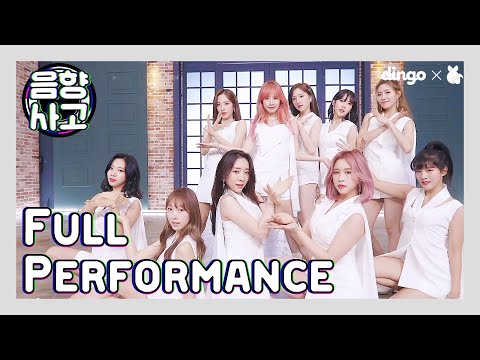 [음향사고 Behind] 우주소녀(WJSN)-Butterfly(Performance ver )l 딩고놈들한테 당하느라 못한 멋짐을 여기에~^0^ lㅣ딩고뮤직ㅣDingo Music