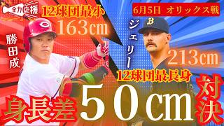 【身長差❝50㎝❞対決🔥】カープ・勝田成『12球団で最も小さい163㎝』VSショーン・ジェリー『12球団で最も大きい213㎝』【球団認定】カープ全力応援チャンネル