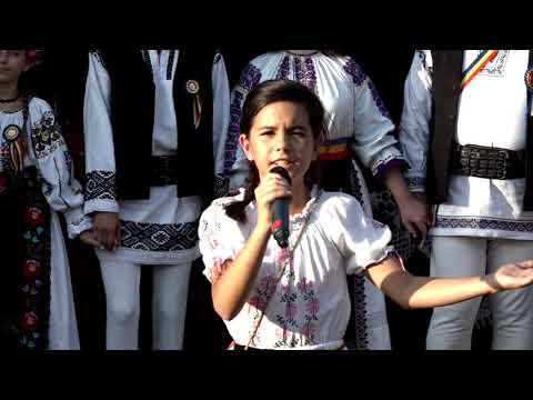 Badita cu pana-n clop