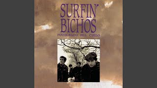Video thumbnail of "Surfin' Bichos - Fotografo Del Cielo"