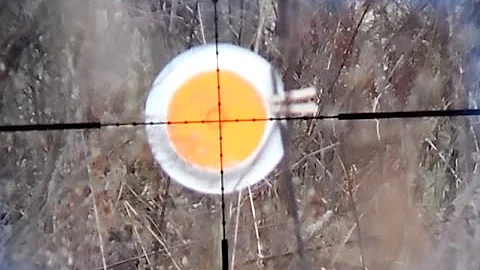 How to Boresight a Scope without BORESIGHTER