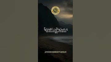 سورة الشورى الآية 18 تلاوة شيخ الغامدي #اكسبلور