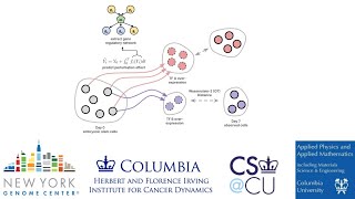 Interpretable Neural ODEs for Gene Regulatory Network Discovery under Perturbations