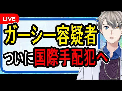 【ガーシー容疑者へ】ついに旅券返納命令...100%逮捕されないのはウソという話【Vtuber解説】