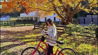 Songs That Remind Me of Autumn 🍁☕