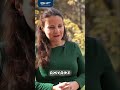 Каква е разликата между обикновения хипопотам и хипопотама джудже?
