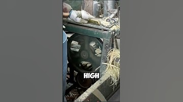 Take a Look Inside Our Factory: Where Precision Meets Efficiency! 🏭 #Shorts