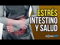 Estrés, intestino y salud