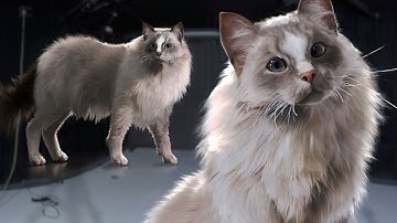 Creating Creature Hair & Fur Grooms in Houdini With Kristin Farrensteiner