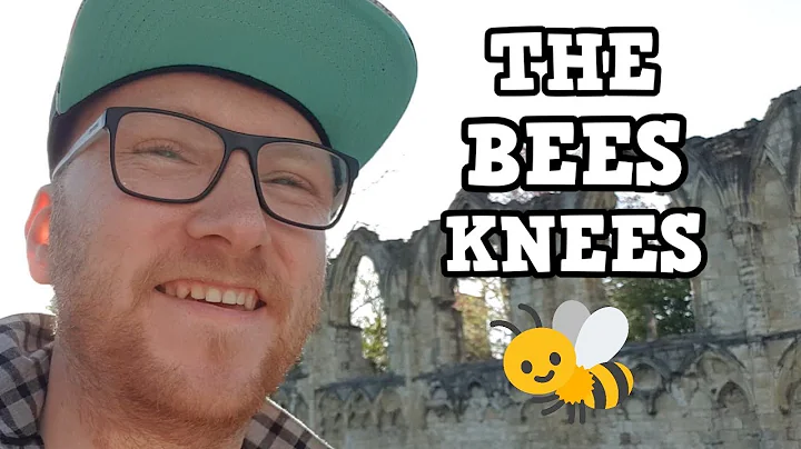 JACK FACTS - What does "the bees knees" mean?