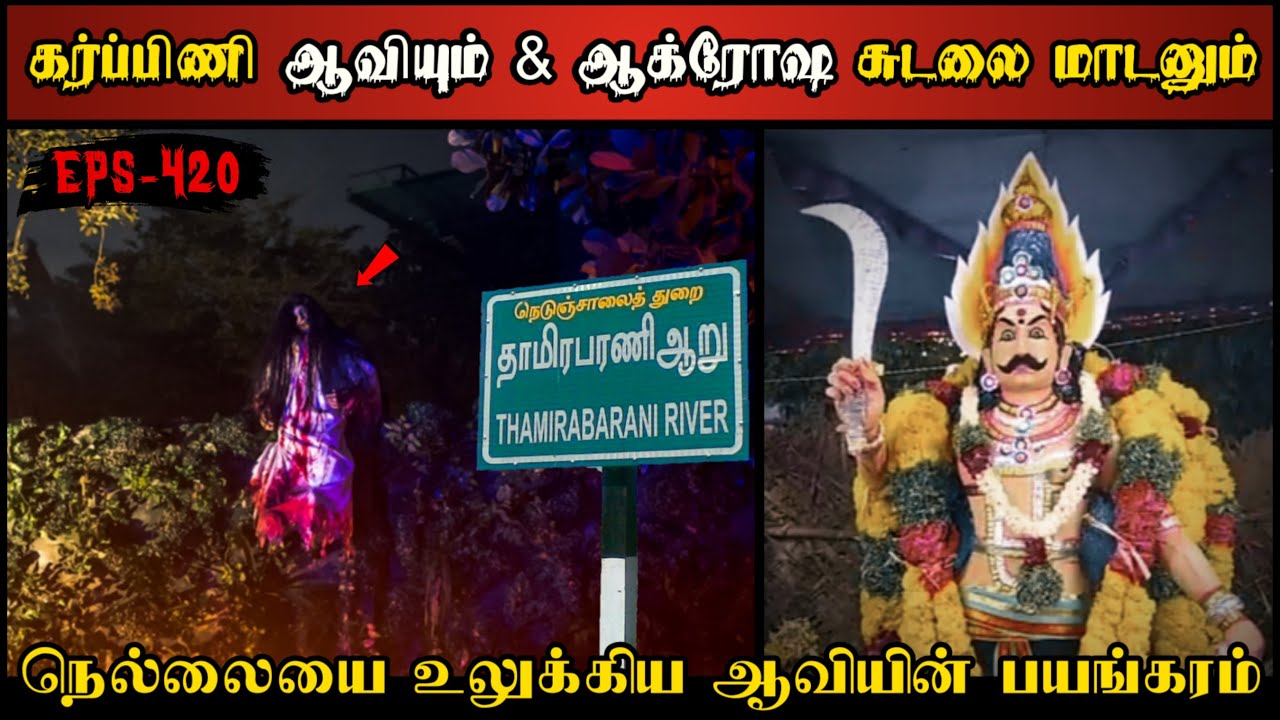 Real Life Ghost Experience in Tamil | நெல்லையில் கர்பிணி ஆவியின் பயங்கரம்..😱| Shiva's Investigation