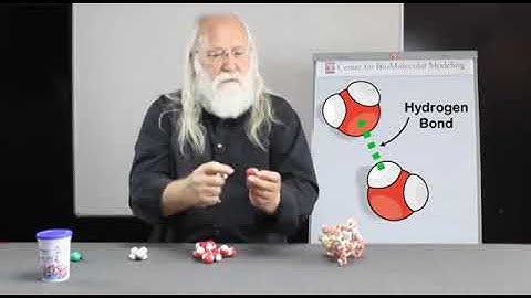 Principles that Drive Protein Folding   Part 1