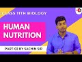 HUMAN NUTIRTION 02 | Digestion of Protein | Class 11th Biology by Sachin Sir | MH Board | MEDINEER