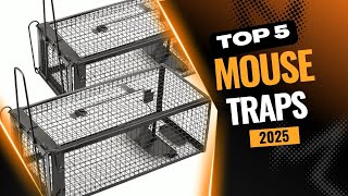 5 Best Mouse Traps for 2025 | Top 5 Mouse Traps Reviews