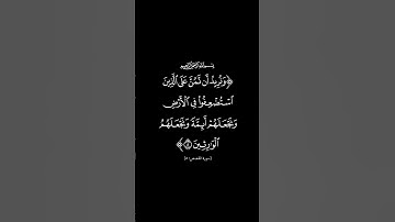 الآية 5 من سورة القصص | القارئ سعد الغامدي