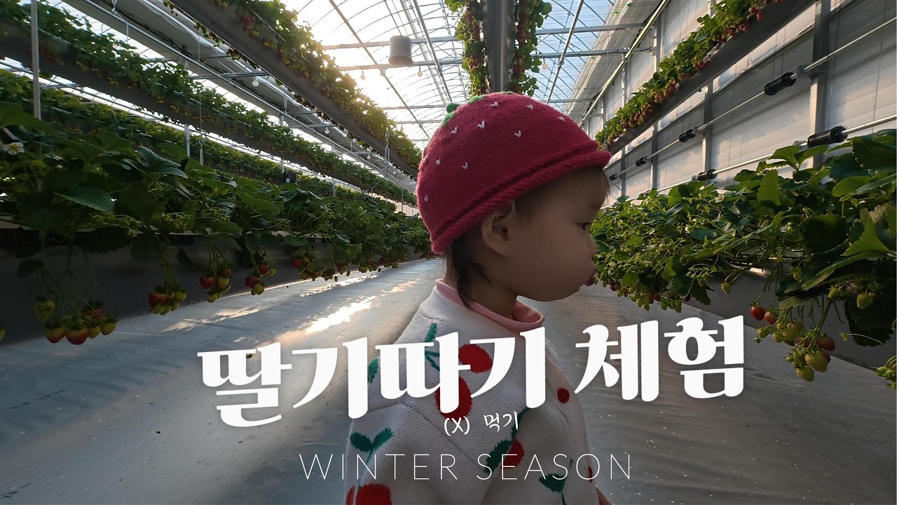 윤슬Day (청주 딸기 농장 체험)