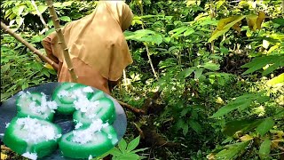 singkong bisa jadi jajanan enak | panen singkong di kebun,kelapa dan pinang