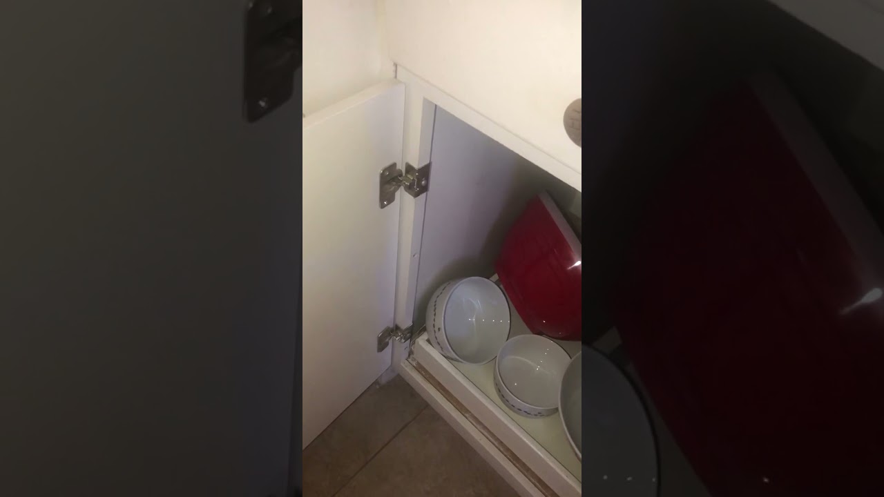 Rescuing a Cat Stuck Behind Kitchen Cabinets