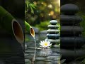 3 Hours Relaxing Piano Music 🎵 Calming Music, Soothing Music (Winter Love)