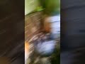 это видео бесконечное