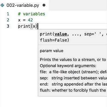 Creating and using variable in Python - YouTube