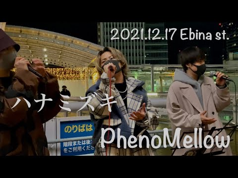 《PhenoMellow》2021.12.17 海老名駅路上ライブ   cover『ハナミズキ/一青窈』⭐️2022年1月13日ホールワンマン⭐️