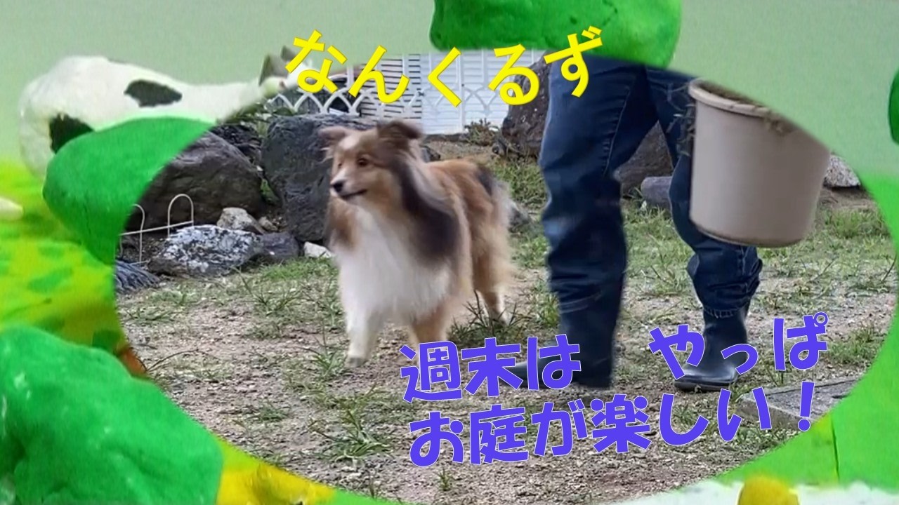 【みかんの週末 ３才】3才になったみかん、週末の過ごし方が少し変わってきました