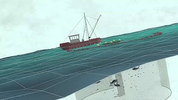 Fish Aggregating Devices - Tuna industry