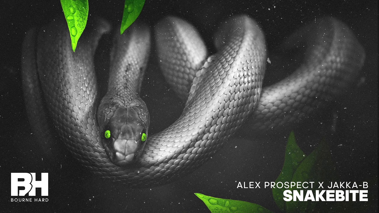 Assista a Alex Prospect & Jakka B - Snakebite no YouTube Assista a Alex Prospect & Jakka B - Snakebite no YouTube