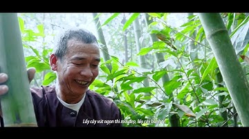 4K || CÂY NÊU NGÀY TẾT || Tục dựng cây nêu đón Tết của người Mường ở Khả Cửu, Thanh Sơn, Phú Thọ