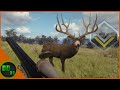 Biggest Mule Deer with The 9.3 Drilling Rifle! Call Of The Wild