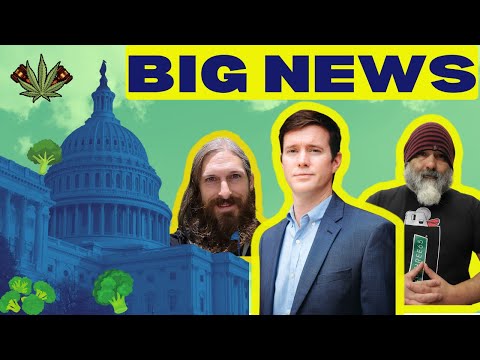 Federal Legalization Hits the Senate | CAOA Updates | Cannabis News