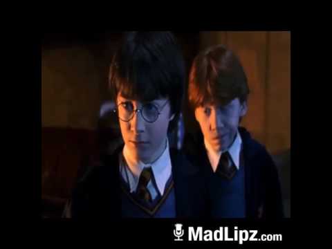 Harry Potter Romani Parodija