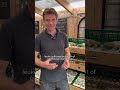 🍎 Zelf je fruit en bloemen plukken?